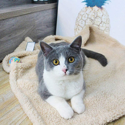 Cat lying on a fluffy beige blanket with a wooden shelf and decorative items in the background