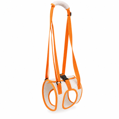 Orange and white dog harness on a white background
